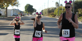 Picture of runners wearing black shirts, pink shorts and numbers. 